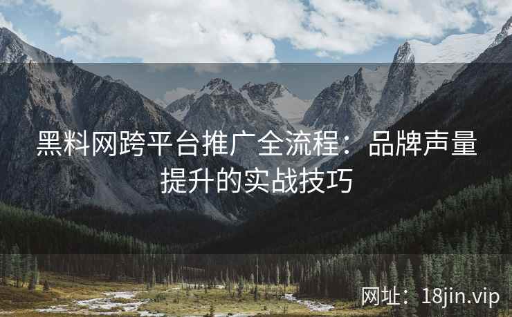 黑料网跨平台推广全流程：品牌声量提升的实战技巧