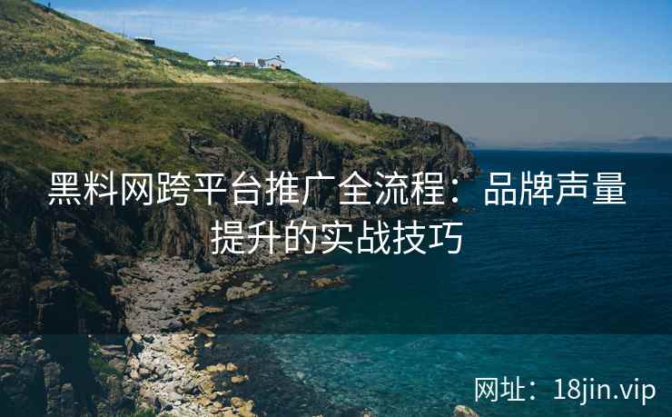 黑料网跨平台推广全流程：品牌声量提升的实战技巧