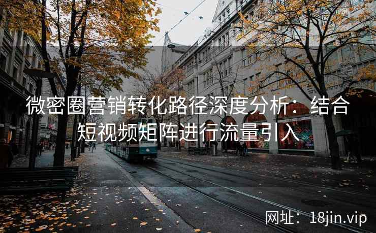 微密圈营销转化路径深度分析：结合短视频矩阵进行流量引入
