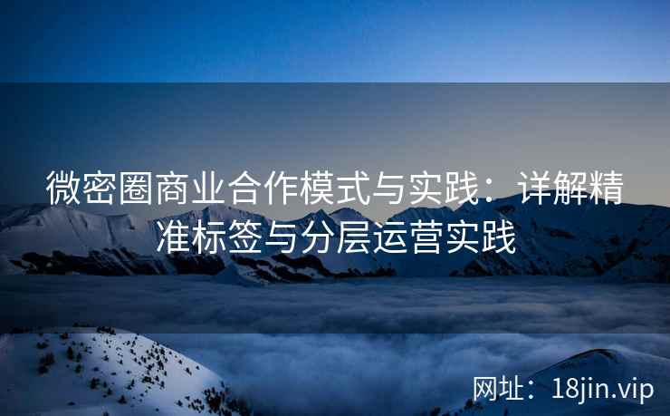 微密圈商业合作模式与实践：详解精准标签与分层运营实践