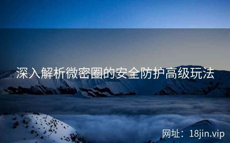 深入解析微密圈的安全防护高级玩法